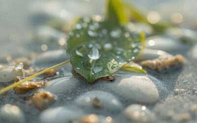 Meditazione: imparare ad Osservare per una vita più Serena
