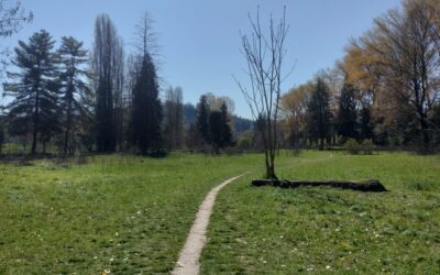 Yoga a Torino: 5 motivi per iniziare a praticare se vivi in città