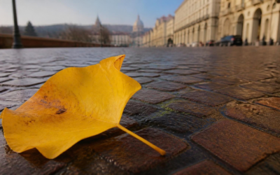 Autunno e gestione dello stress a Torino: regolare il sistema nervoso per affrontare il cambio di stagione